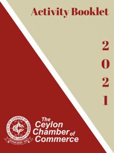 Annual Activity Review 2025/2026