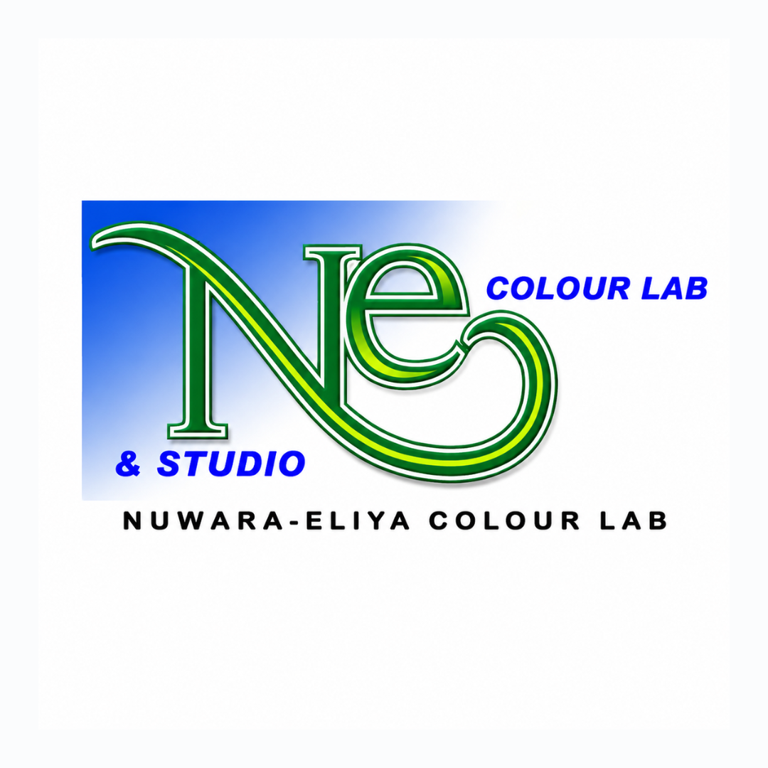 Partner 5